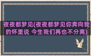 夜夜都梦见(夜夜都梦见你奔向我的怀里说 今生我们再也不分离)